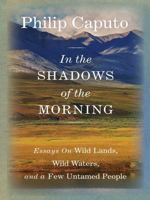 cover image of In the Shadows of the Morning